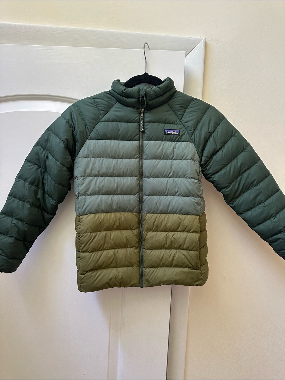 Patagonia Kids Ombre Green Puff Jacket